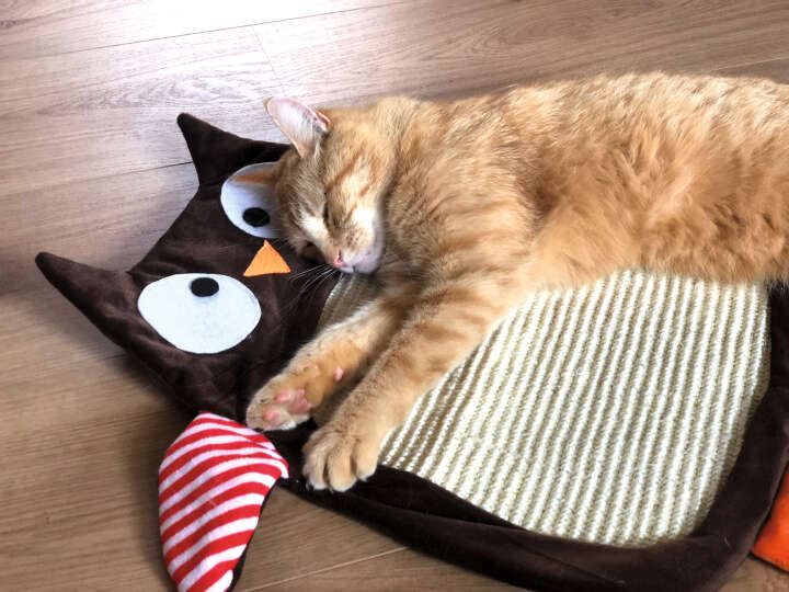 Sisal-Kratzbrett Eule